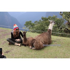 Vuelos Lima - Cusco